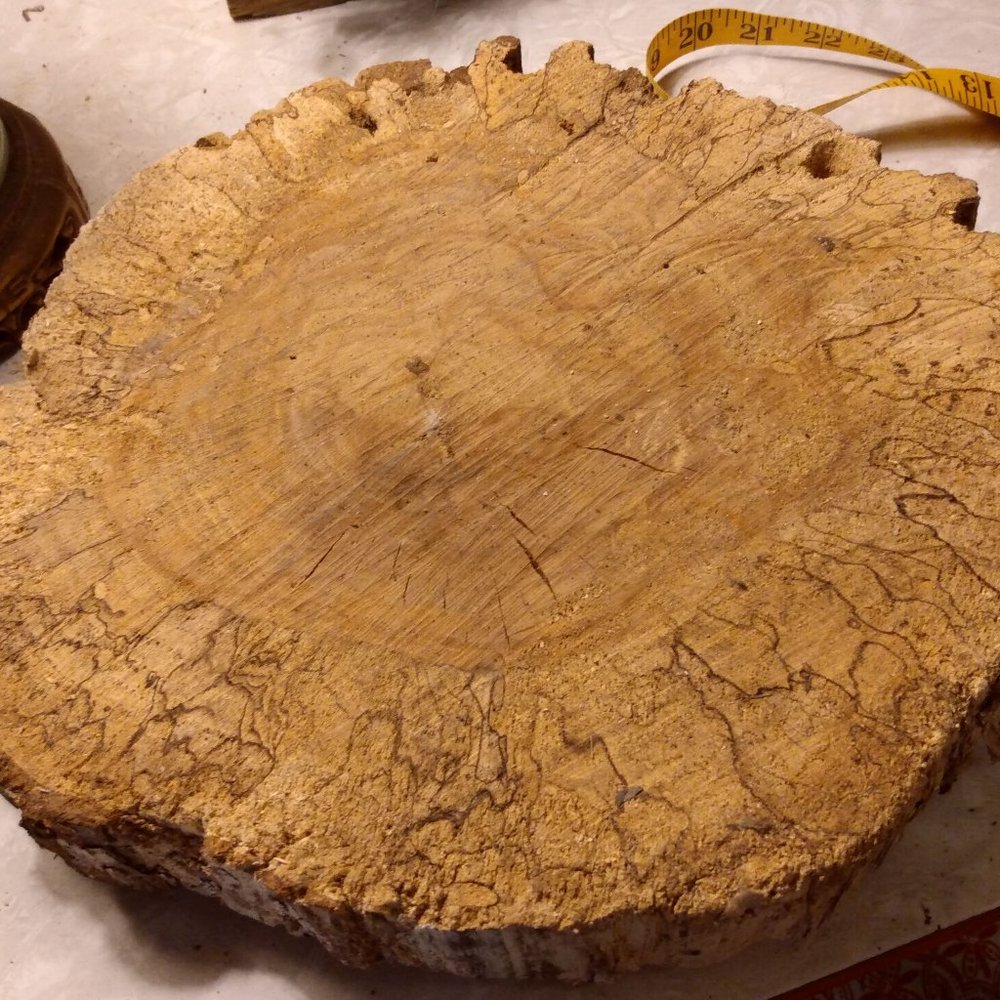 Real Wood Tree Slice 12" Crafts Garden Rustic Decor
